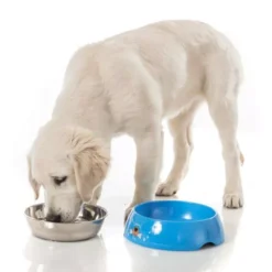 Hundenapf Brunner Hungry XL -Camping Rabatt Geschäft camping hundeschuessel brunner hungry xl 2 18828