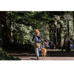 Tagesrucksack Osprey Daylite Sling Unisex, Black -Camping Rabatt Geschäft daylite sling osprey unisex rucksack tagesrucksack daypack unisex rucksack 1000 4 22215