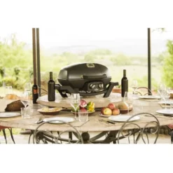 Mobiler Gasgrill Napoleon TravelQ PRO 285 -Camping Rabatt Geschäft mobiler gasgrill napoleon travelq pro285 black gasgrills 9 10545