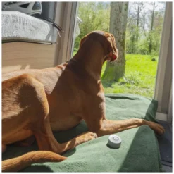 E-Trailer E-Temperature Messgerät Für Temperatur Und Luftfeuchtigkeit -Camping Rabatt Geschäft raumtepmeraturfuehler luftfeuchtigkeitsmesser e trailer e temperature 1000 5 28224